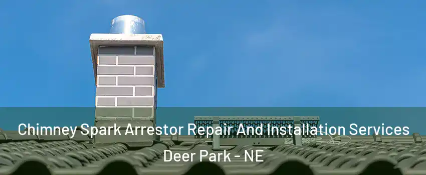 Chimney Spark Arrestor Repair And Installation Services Deer Park - NE