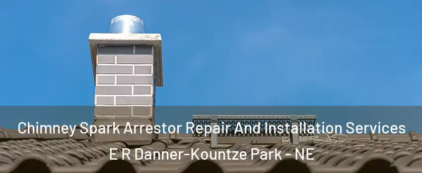 Chimney Spark Arrestor Repair And Installation Services E R Danner-Kountze Park - NE