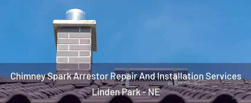 Chimney Spark Arrestor Repair And Installation Services Linden Park - NE