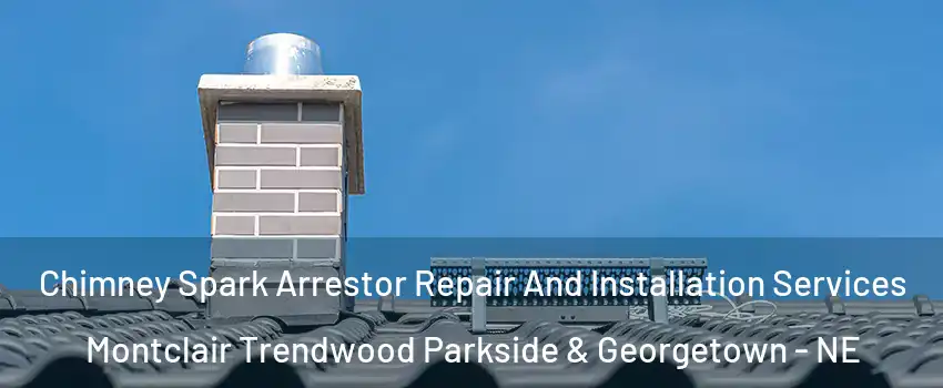 Chimney Spark Arrestor Repair And Installation Services Montclair Trendwood Parkside & Georgetown - NE