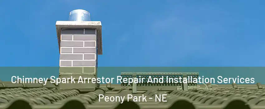 Chimney Spark Arrestor Repair And Installation Services Peony Park - NE
