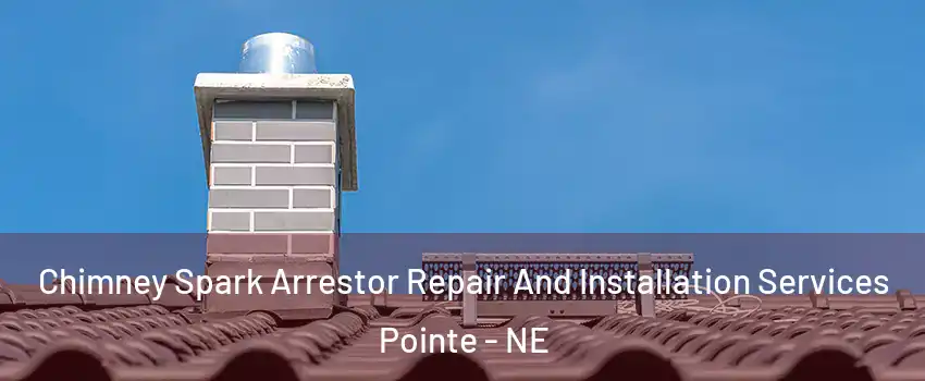 Chimney Spark Arrestor Repair And Installation Services Pointe - NE