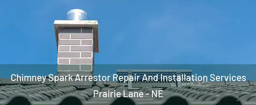 Chimney Spark Arrestor Repair And Installation Services Prairie Lane - NE