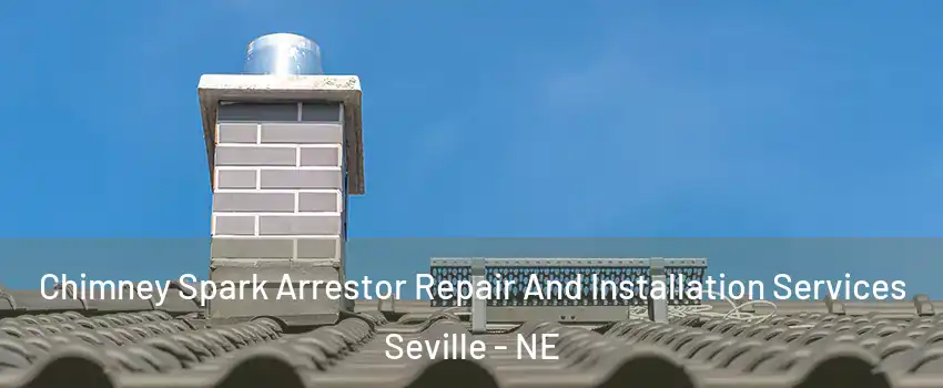 Chimney Spark Arrestor Repair And Installation Services Seville - NE