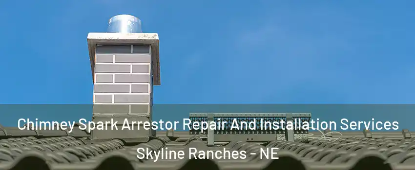 Chimney Spark Arrestor Repair And Installation Services Skyline Ranches - NE
