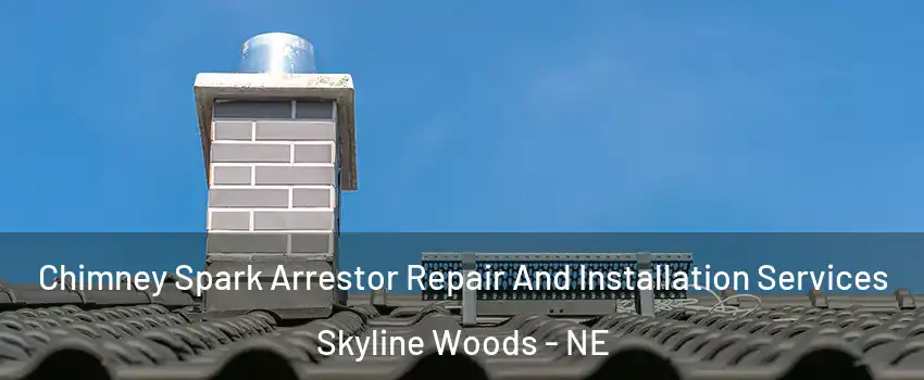 Chimney Spark Arrestor Repair And Installation Services Skyline Woods - NE