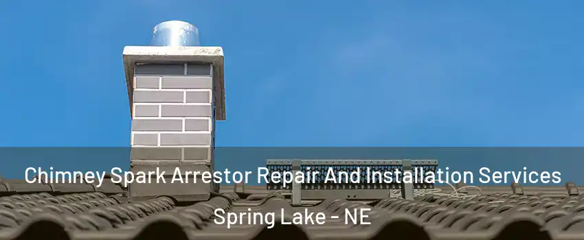 Chimney Spark Arrestor Repair And Installation Services Spring Lake - NE