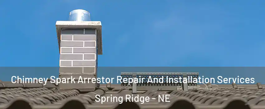 Chimney Spark Arrestor Repair And Installation Services Spring Ridge - NE