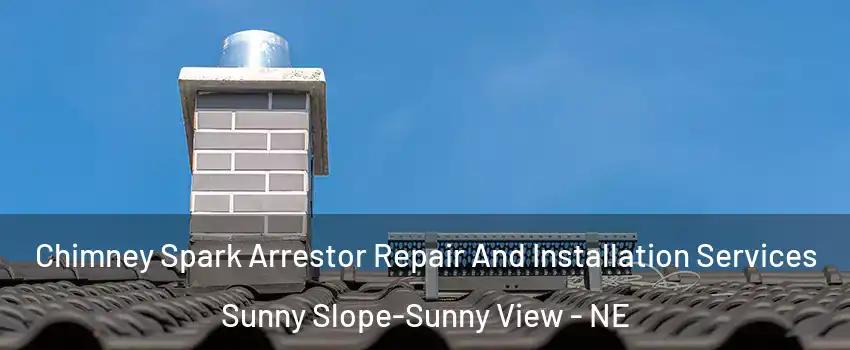 Chimney Spark Arrestor Repair And Installation Services Sunny Slope-Sunny View - NE