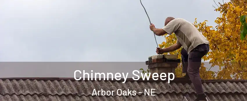 Chimney Sweep Arbor Oaks - NE