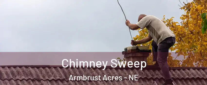 Chimney Sweep Armbrust Acres - NE