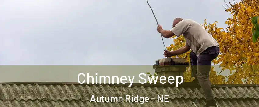 Chimney Sweep Autumn Ridge - NE