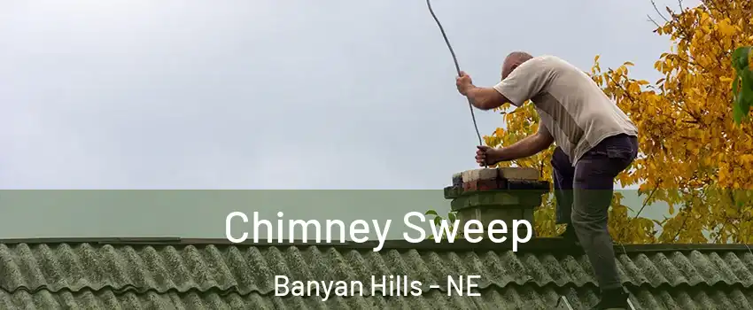 Chimney Sweep Banyan Hills - NE