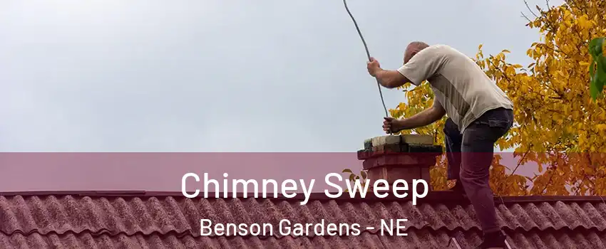 Chimney Sweep Benson Gardens - NE