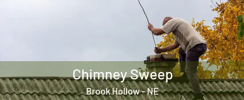 Chimney Sweep Brook Hollow - NE
