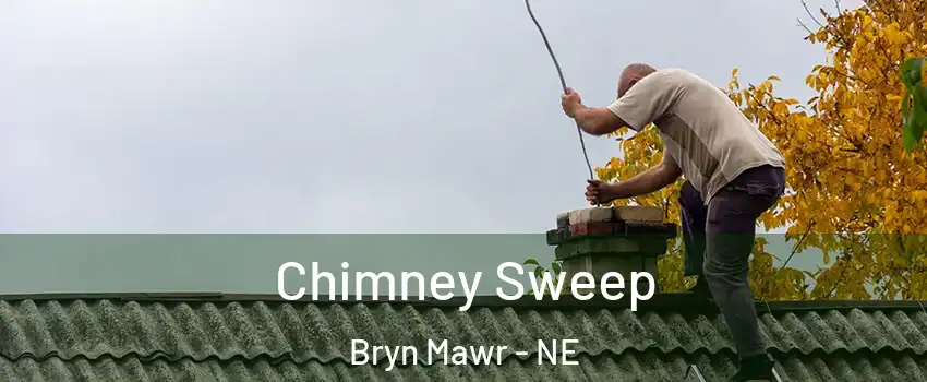 Chimney Sweep Bryn Mawr - NE