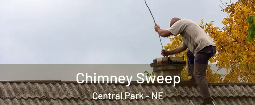 Chimney Sweep Central Park - NE