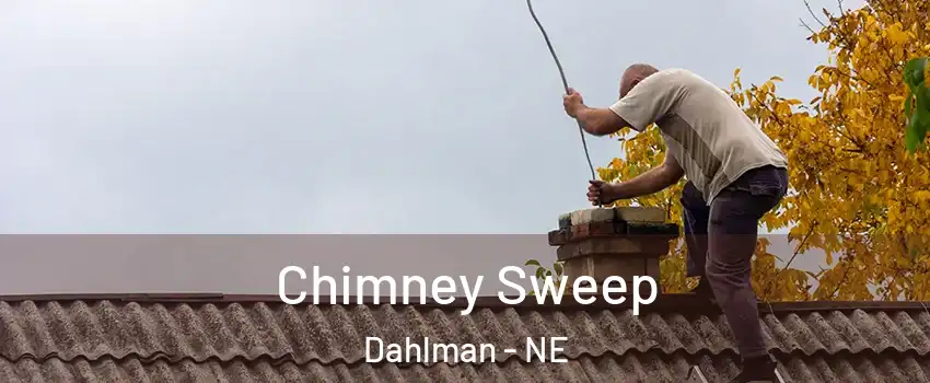 Chimney Sweep Dahlman - NE