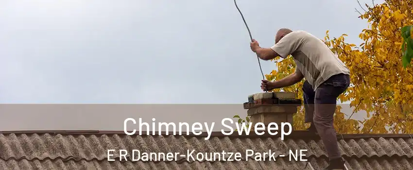 Chimney Sweep E R Danner-Kountze Park - NE