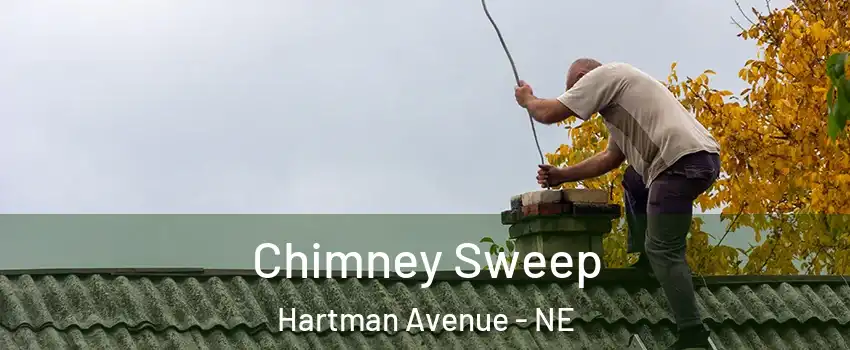 Chimney Sweep Hartman Avenue - NE