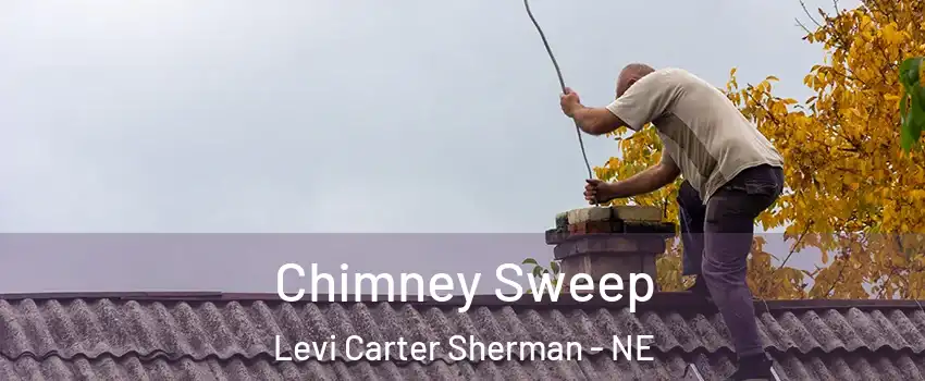 Chimney Sweep Levi Carter Sherman - NE