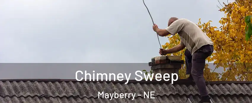 Chimney Sweep Mayberry - NE