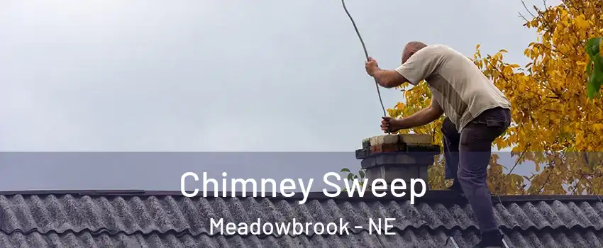 Chimney Sweep Meadowbrook - NE