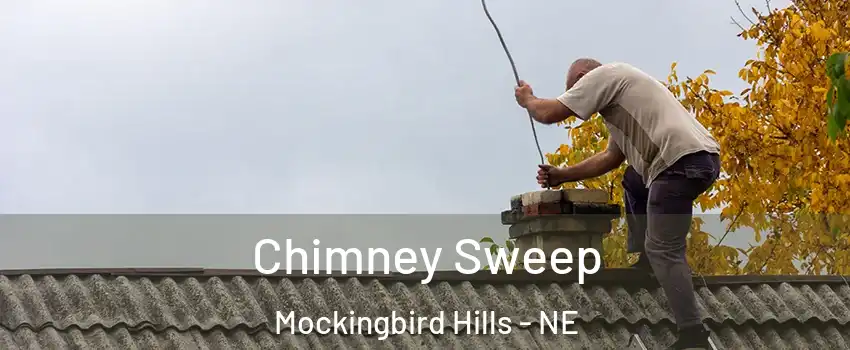 Chimney Sweep Mockingbird Hills - NE