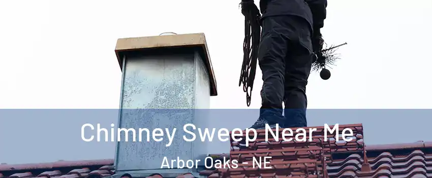 Chimney Sweep Near Me Arbor Oaks - NE