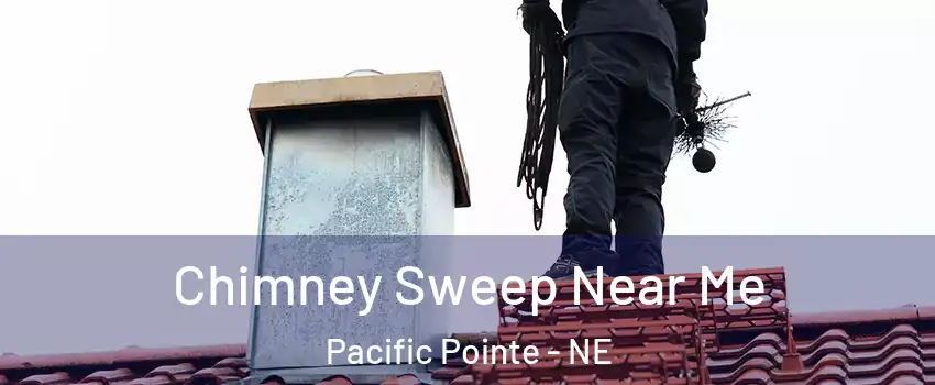 Chimney Sweep Near Me Pacific Pointe - NE