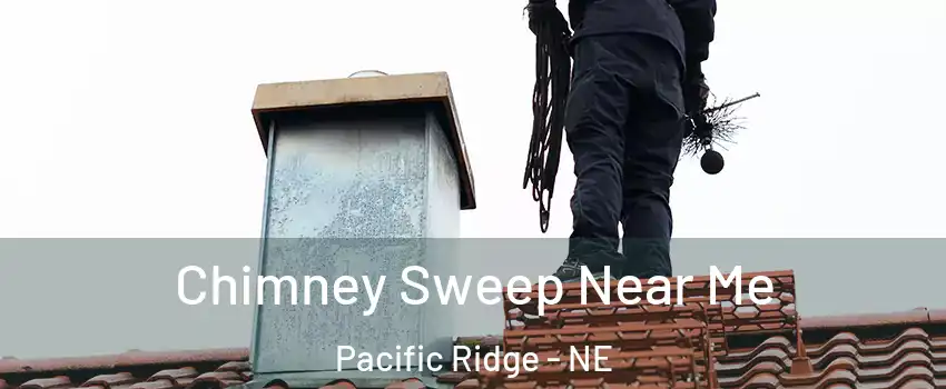 Chimney Sweep Near Me Pacific Ridge - NE