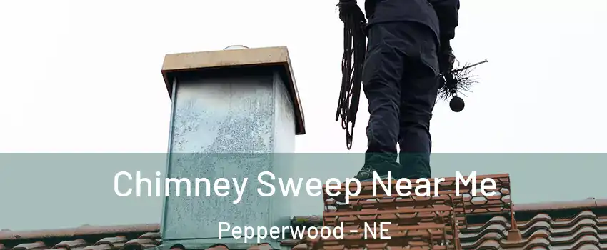 Chimney Sweep Near Me Pepperwood - NE