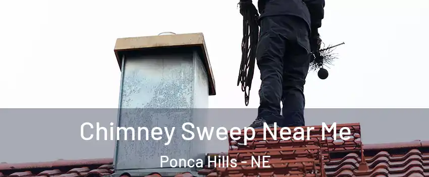 Chimney Sweep Near Me Ponca Hills - NE