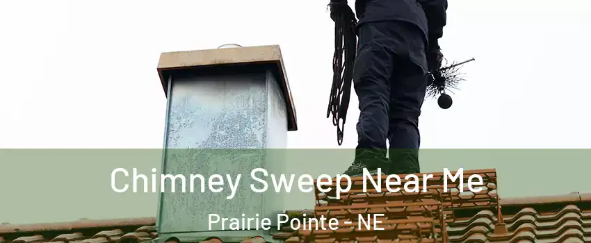 Chimney Sweep Near Me Prairie Pointe - NE