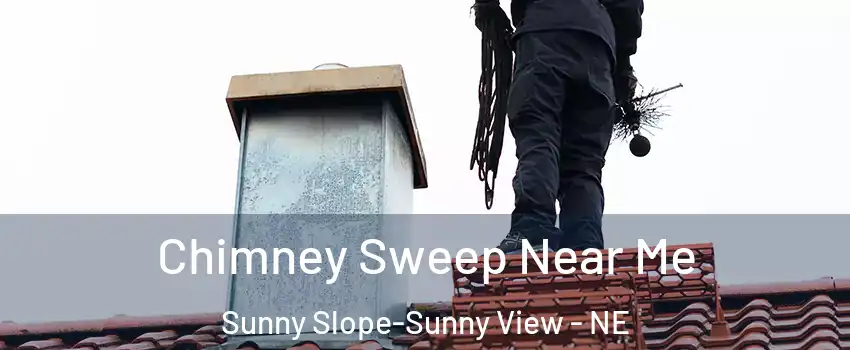 Chimney Sweep Near Me Sunny Slope-Sunny View - NE