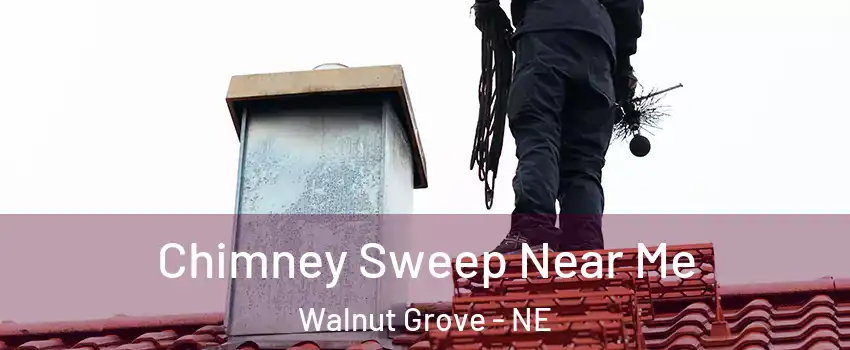 Chimney Sweep Near Me Walnut Grove - NE