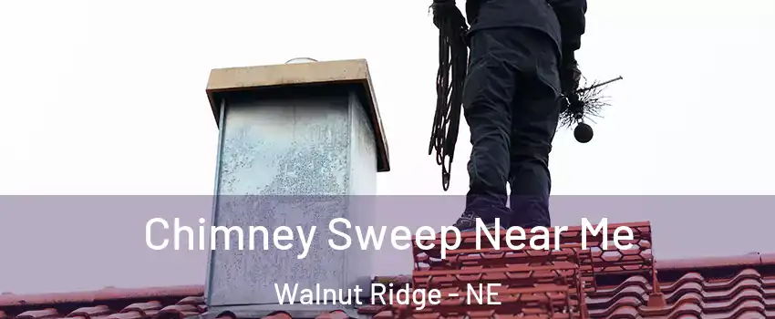 Chimney Sweep Near Me Walnut Ridge - NE