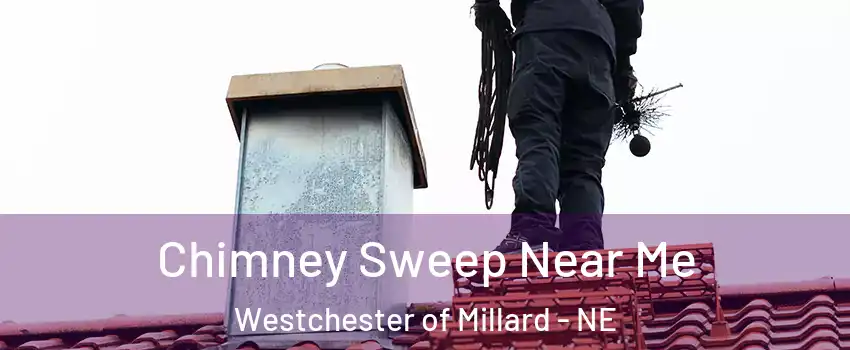 Chimney Sweep Near Me Westchester of Millard - NE