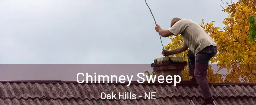 Chimney Sweep Oak Hills - NE