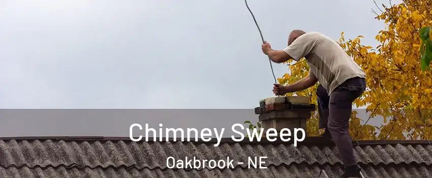 Chimney Sweep Oakbrook - NE