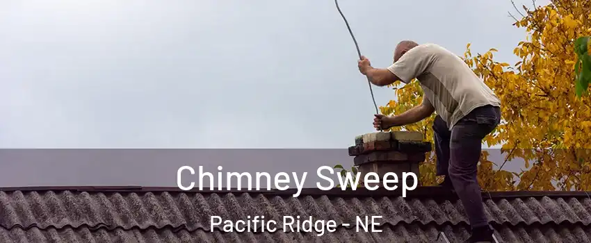 Chimney Sweep Pacific Ridge - NE
