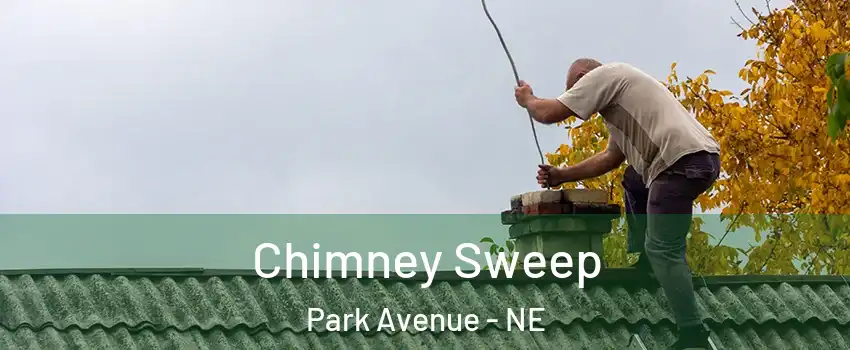 Chimney Sweep Park Avenue - NE