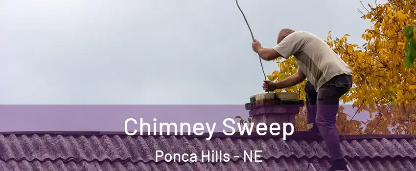 Chimney Sweep Ponca Hills - NE