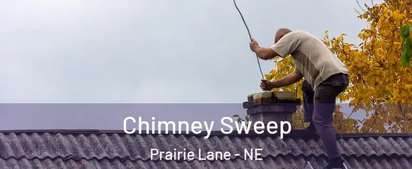 Chimney Sweep Prairie Lane - NE
