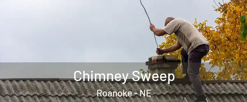 Chimney Sweep Roanoke - NE