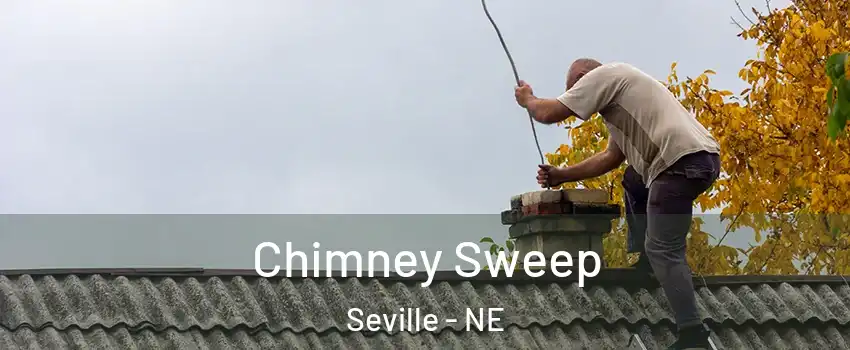 Chimney Sweep Seville - NE