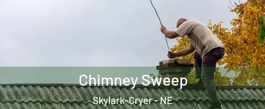 Chimney Sweep Skylark-Cryer - NE