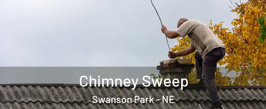 Chimney Sweep Swanson Park - NE