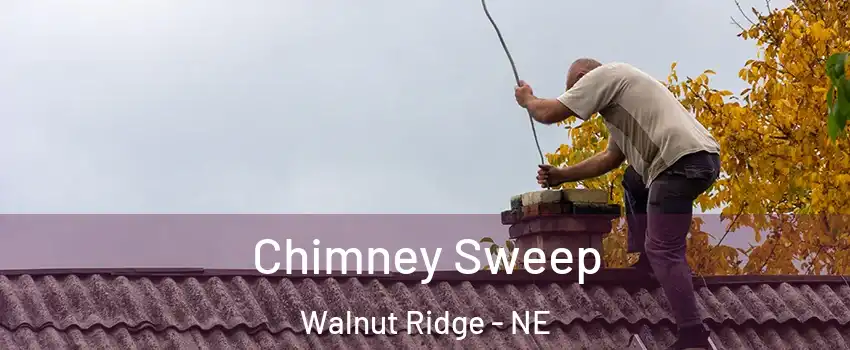Chimney Sweep Walnut Ridge - NE