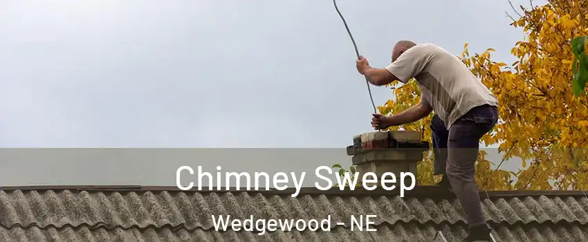 Chimney Sweep Wedgewood - NE